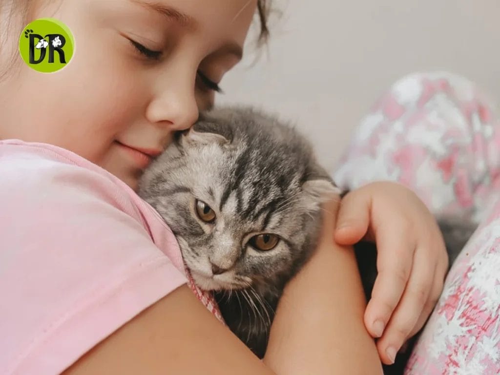 العناية بقطتك: هل تعرضها للموت البطيء بهذه العادة؟ 1 العناية بقطتك 2