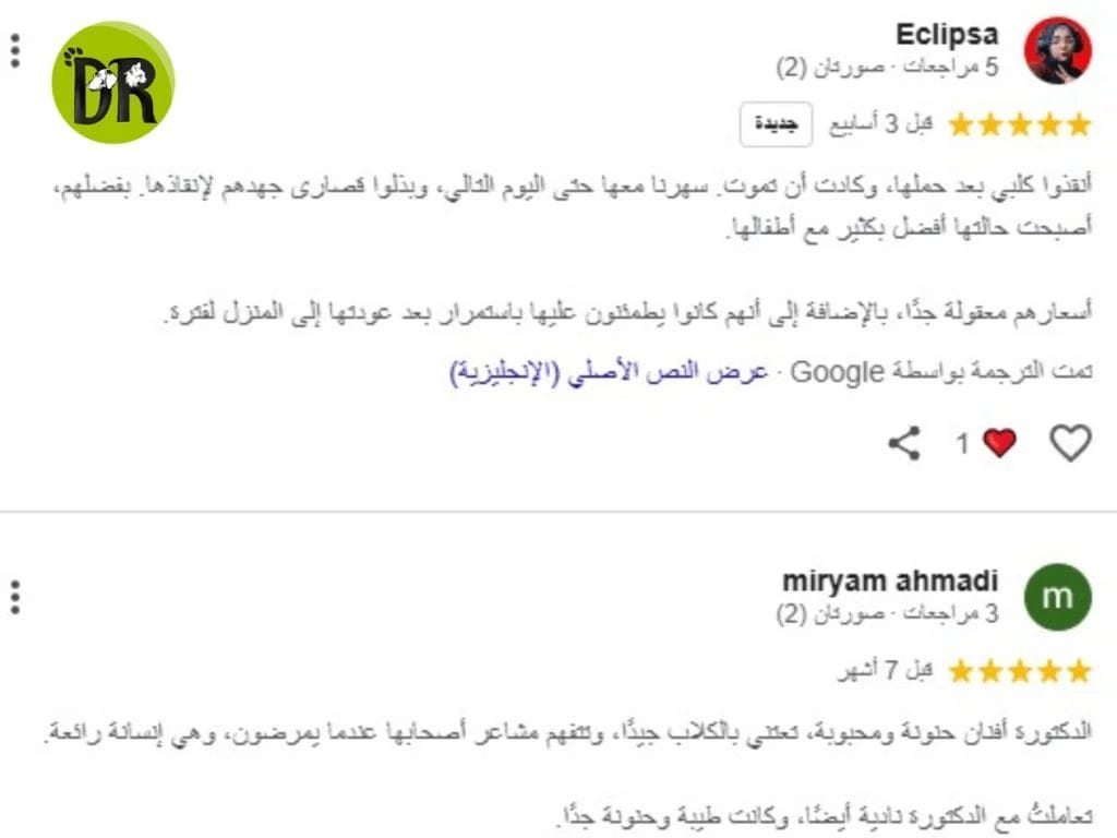 داء الكلب عند القطط: بين الخطر الحقيقي والأوهام الشائعة 2 أفضل دكتور بيطري في التجمع الأول