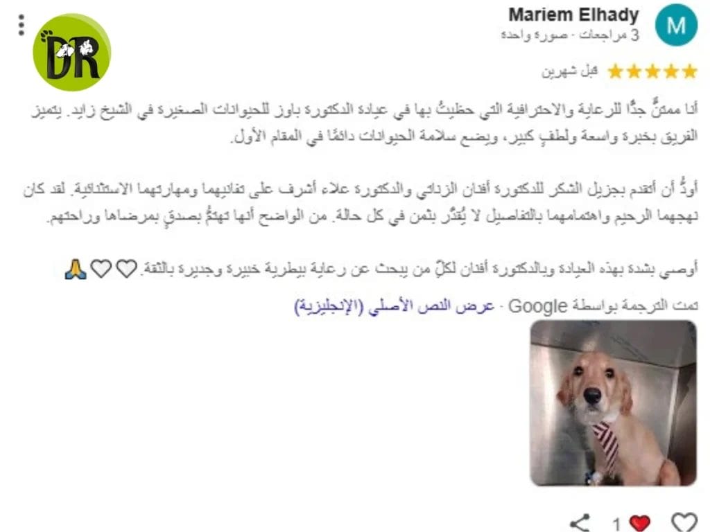أسرار الأسبوع الأول: متى تفتح عيون القطط حديثة الولادة؟ 2 إسعافات أولية للحيوانات التجمع الأول 2