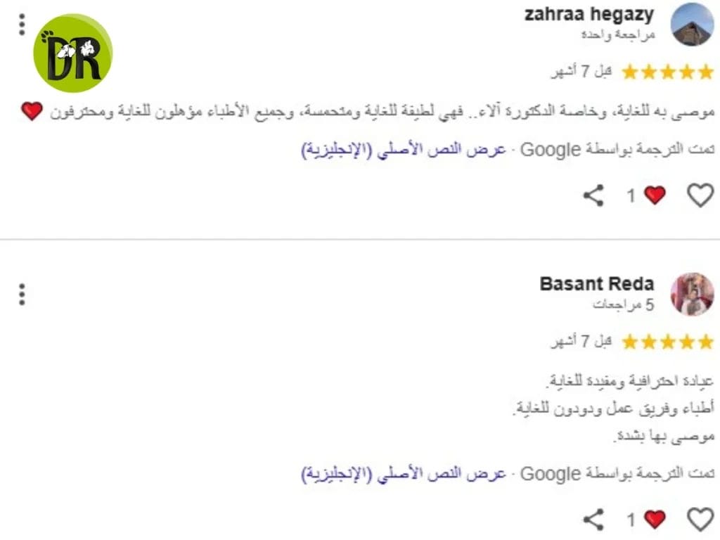 مشاكل القطط الشيرازي: كوارِث تربية الشيرازي… هل تعرفها؟ 2 العيادات البيطرية في الشيخ زايد