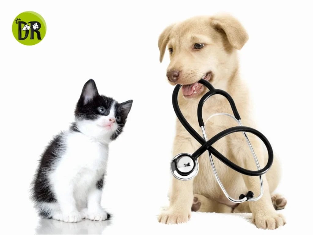 طبيب بيطري 1