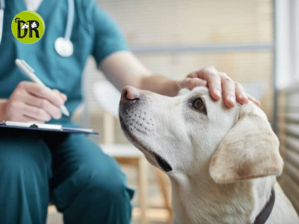 عيادة بيطرية متخصصة في رعاية الحيوانات الأليفة بمنطقة التجمع.