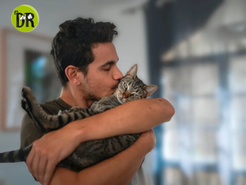 تعرف على الأمراض التي قد تنتقل من القطط إلى الإنسان وأعراضها الشائعة.