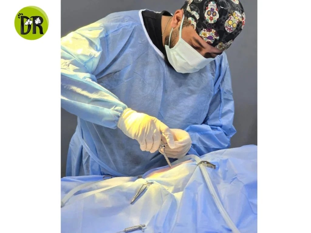 طبيب بيطري مدينتي 1