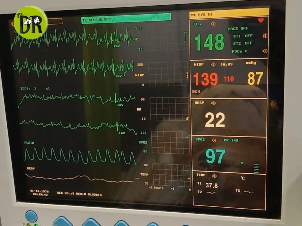 عيادة بيطرية في الرحاب 1